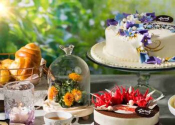 Bánh kem với đa dạng nguyên liệu khác nhau