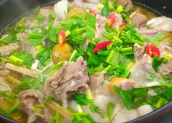 vịt om sấu miền Bắc