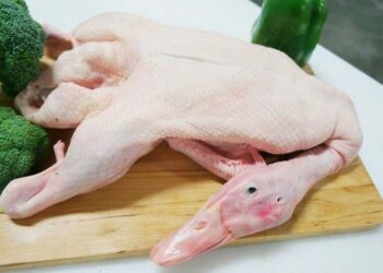 Bạn cần làm sạch lông còn sót lại trên con vịt