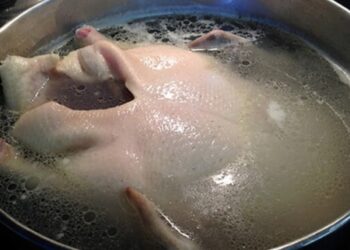 Luộc vịt như thế nào cho ngon