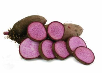 Giòn rụm bánh khoai mỡ