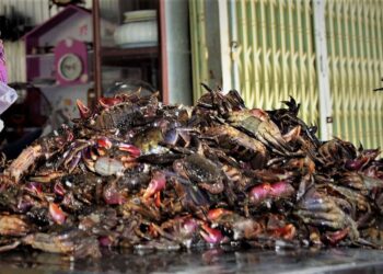 Ba khía trộn đu đủ